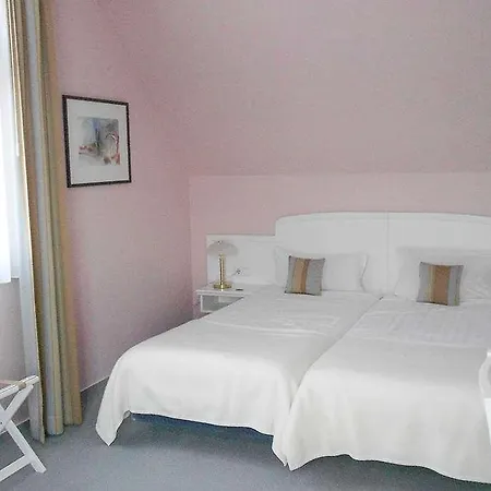 호텔 Arthotel Ana Fleur 3*