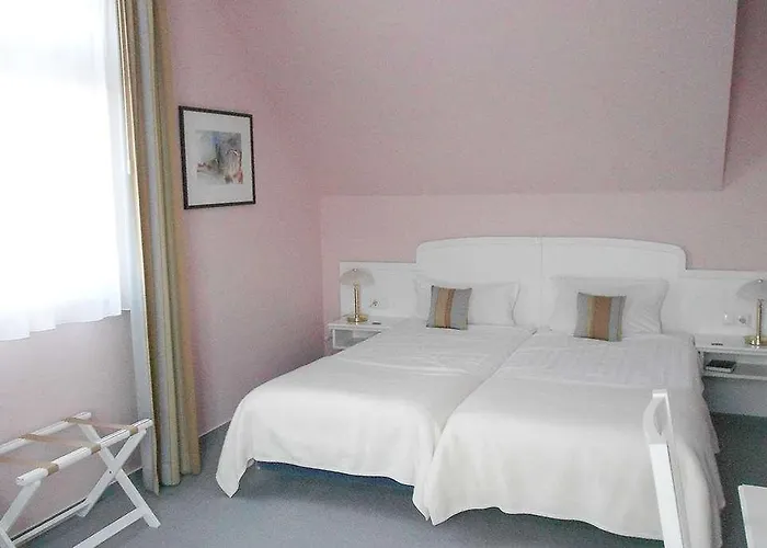 Otel Arthotel Ana Fleur 3*